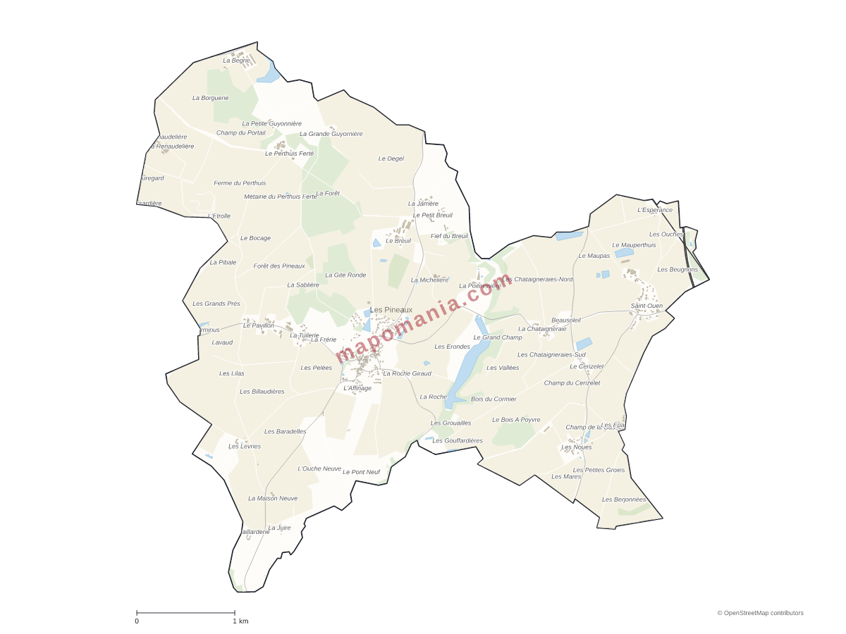 Carte de Les Pineaux à personnaliser