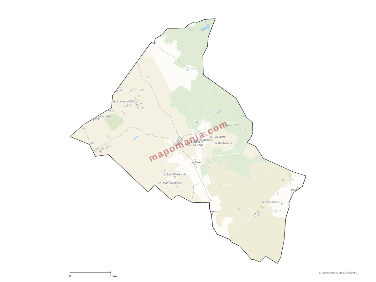 Carte de Savigny-sous-Faye à personnaliser
