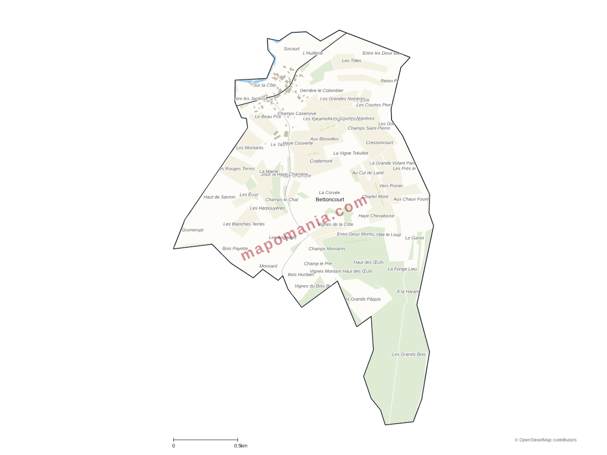 Carte de Bettoncourt à personnaliser