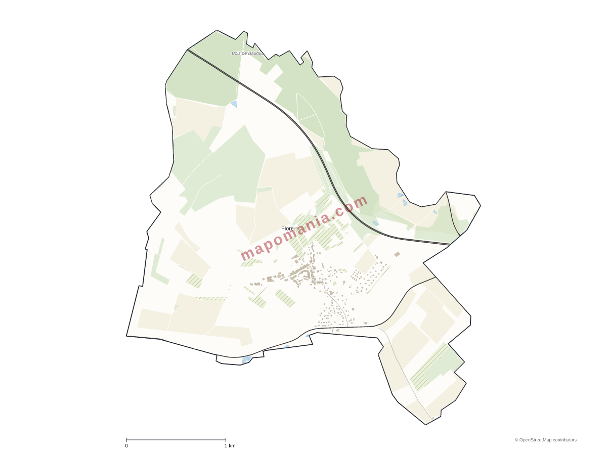 Carte de Florémont à personnaliser