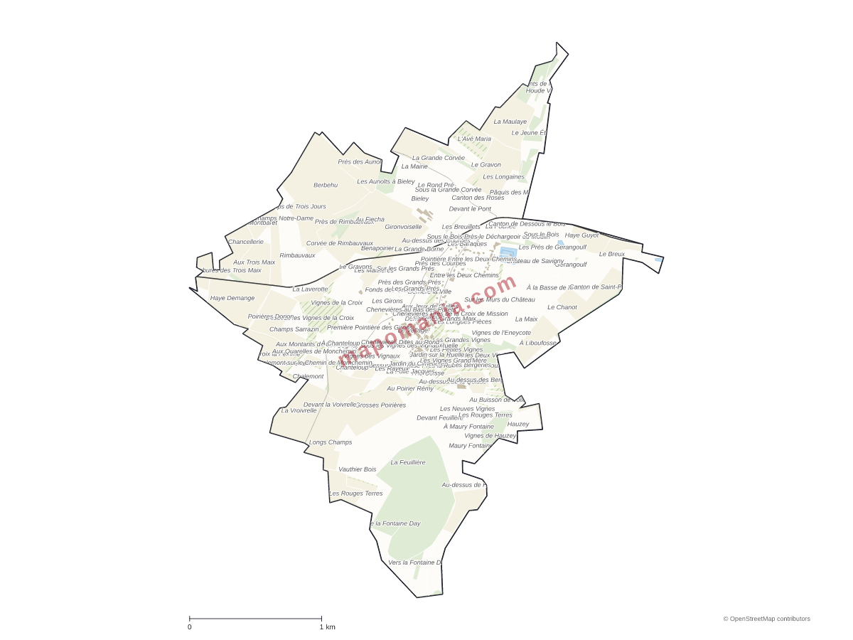 Carte de Savigny à personnaliser