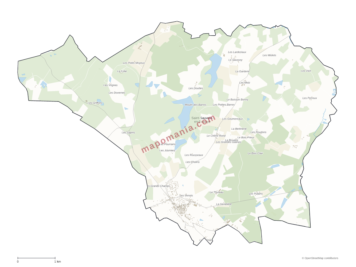 Carte de Saint-Sauveur-en-Puisaye à personnaliser