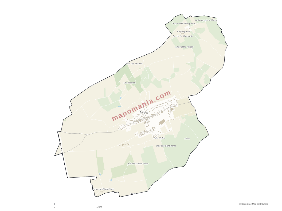 Carte de Saligny à personnaliser