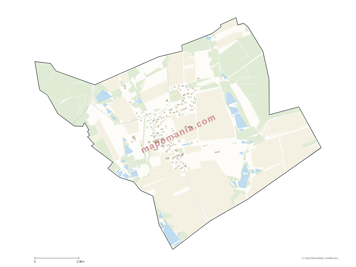 Carte de Felon à personnaliser